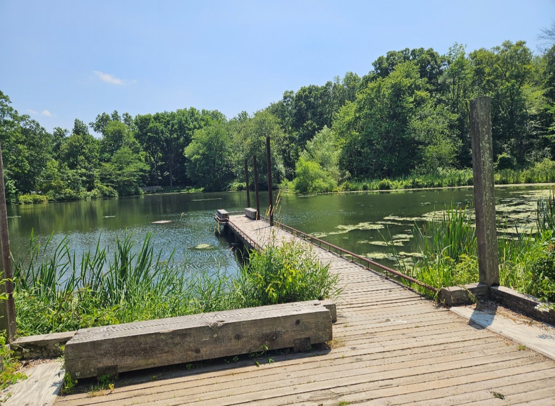 Wooden dock extending into Foote's Pond Wood surrounded by trees in Morristown, New Jersey.